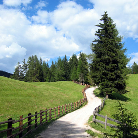 Mutui Agevolati: il Trentino insegna la strada